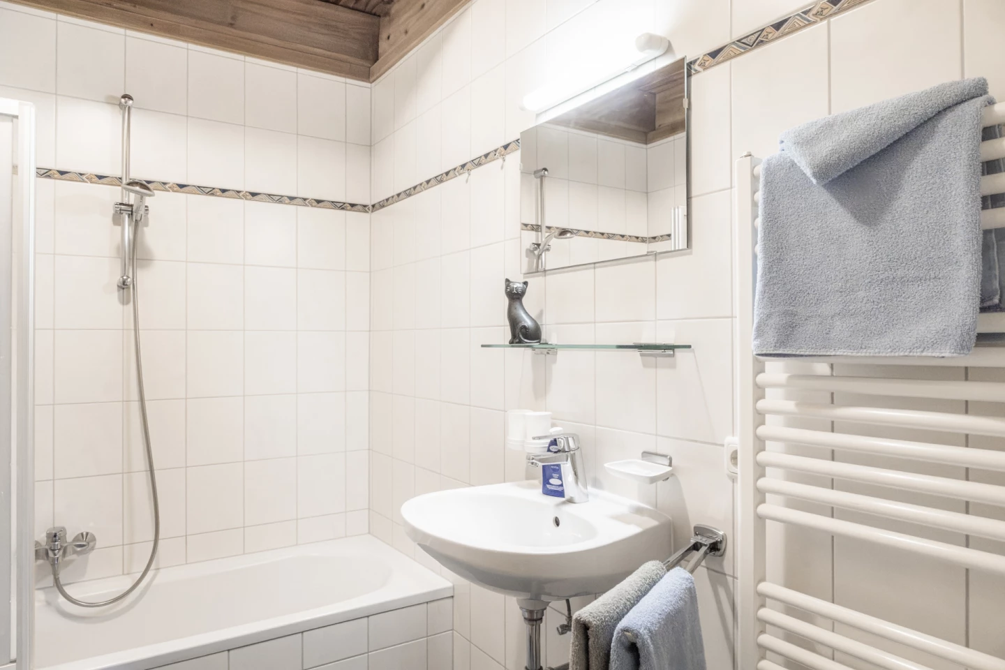 Badezimmer mit Dusche, Waschbecken und Handtuchheizung